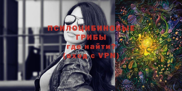 амф Алексин