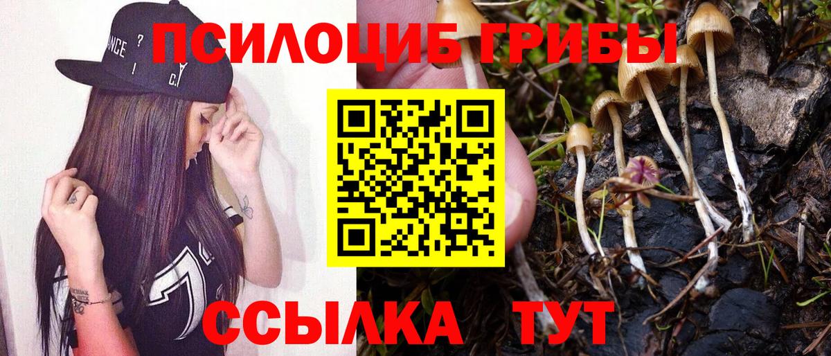 Выкса  Галлюциногенные грибы Psilocybe  Вход с VPN 